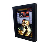 Street Fighter 2 3D Art