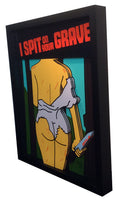 I Spit On Your Grave 3D Art